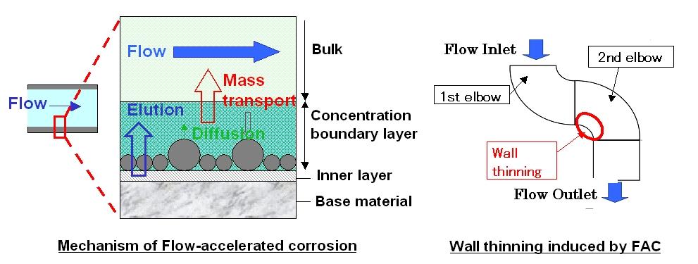 flow accelerated corrosion mechanism causing wall thinning in power plant piping systems